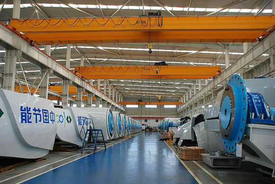 FEM Standard Double Girder Overhead Travelling Crane 10 Ton 6m-30m Lifting